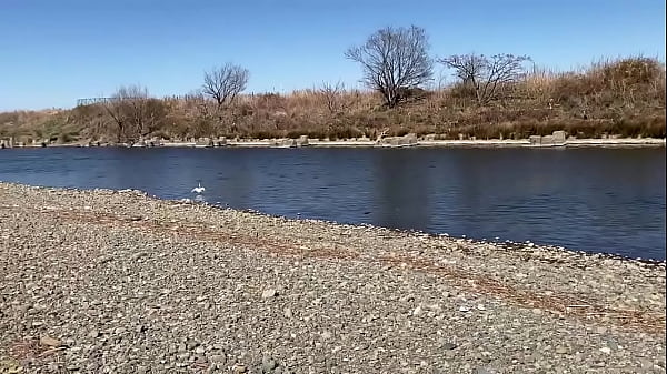 テスト動画です