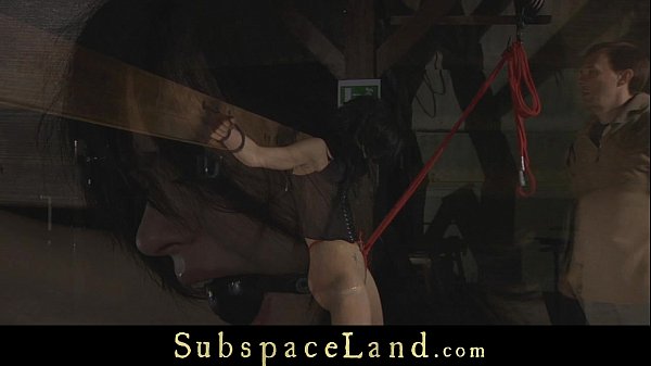 Download Video - Miho's body mets the hard pain submission