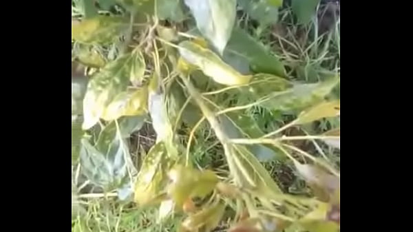 Download Video - Cuino&period;&period;&period;&period;&period;en el campo ke rica venida