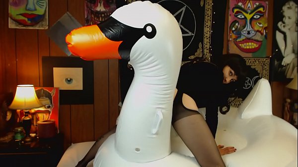 AdalynnX - Inflatable Swan Fun 1