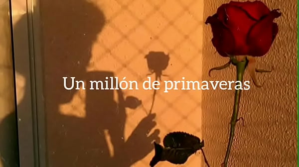 Vicente Fernández - un millon de primaveras letra