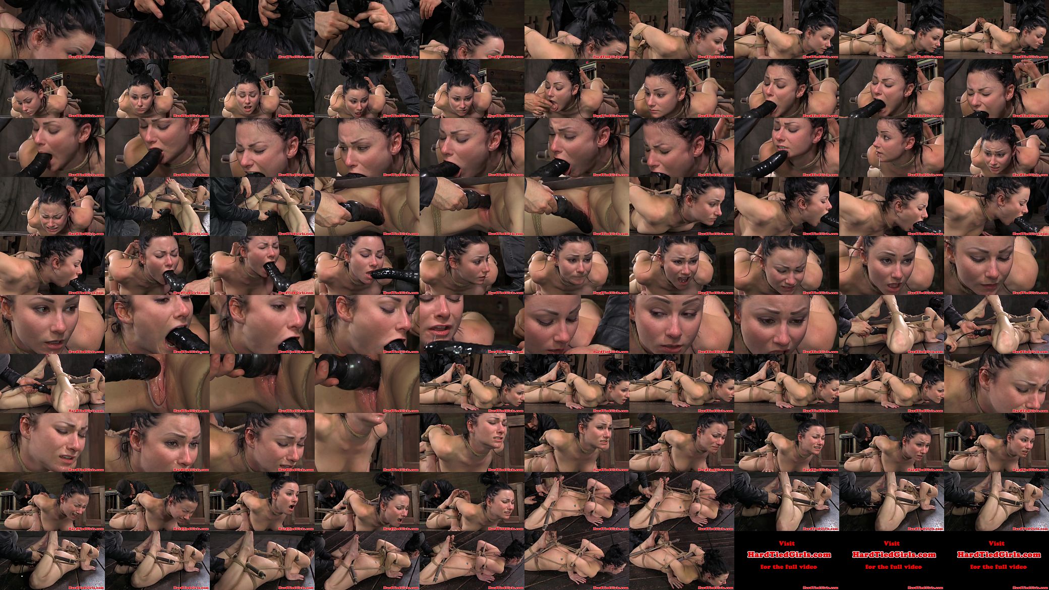 Hogtied subs clit rammed with toys 预览图