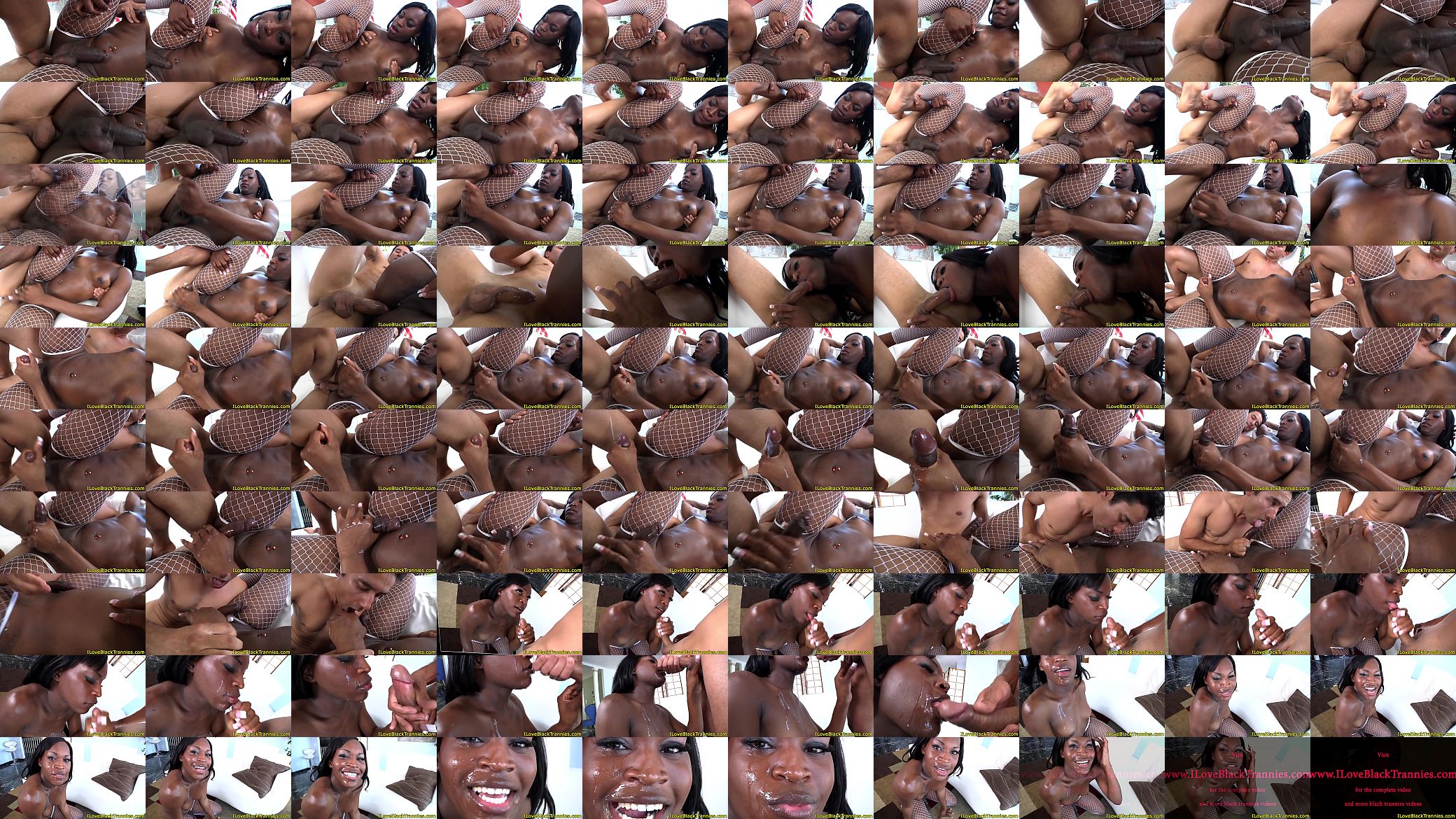 Barebacking ebony shemale gets facialized 预览图