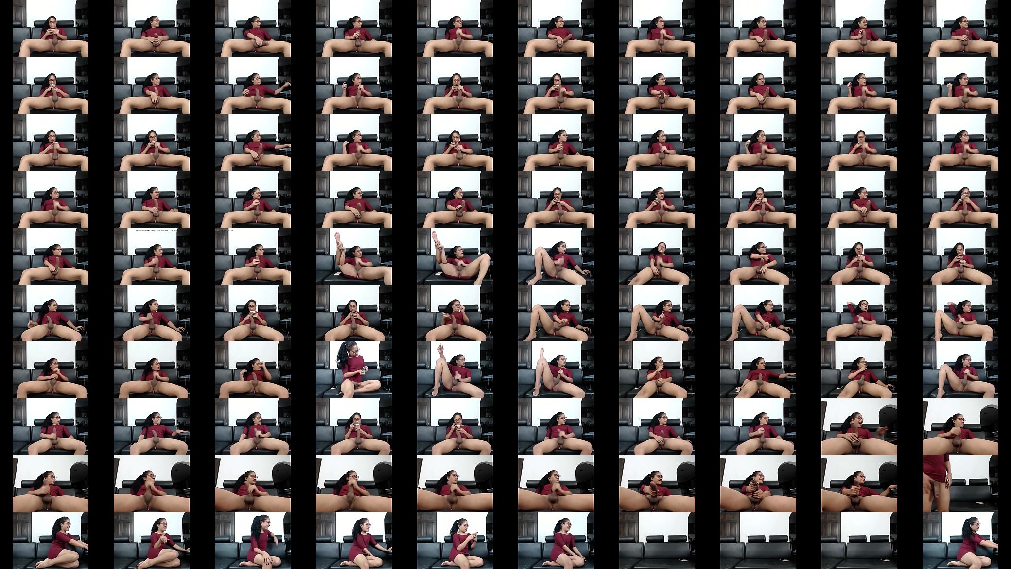 Skarleeth webcam 5 预览图