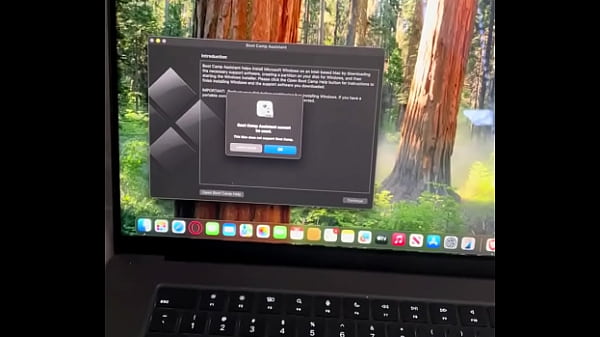 Batrai - update #7 - I need your help, so please help me out, please and thank you - Mar 15, 2025