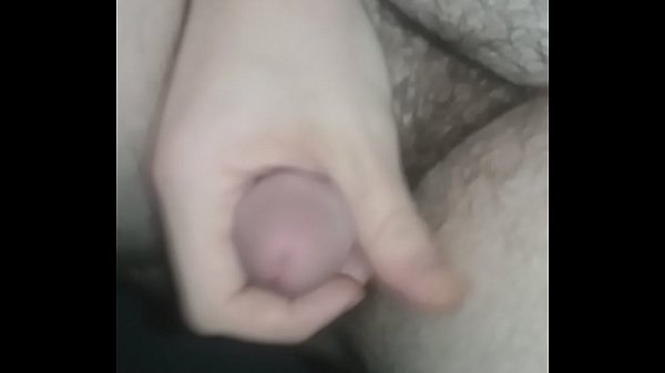 Download Video - View of Ass and solo cock