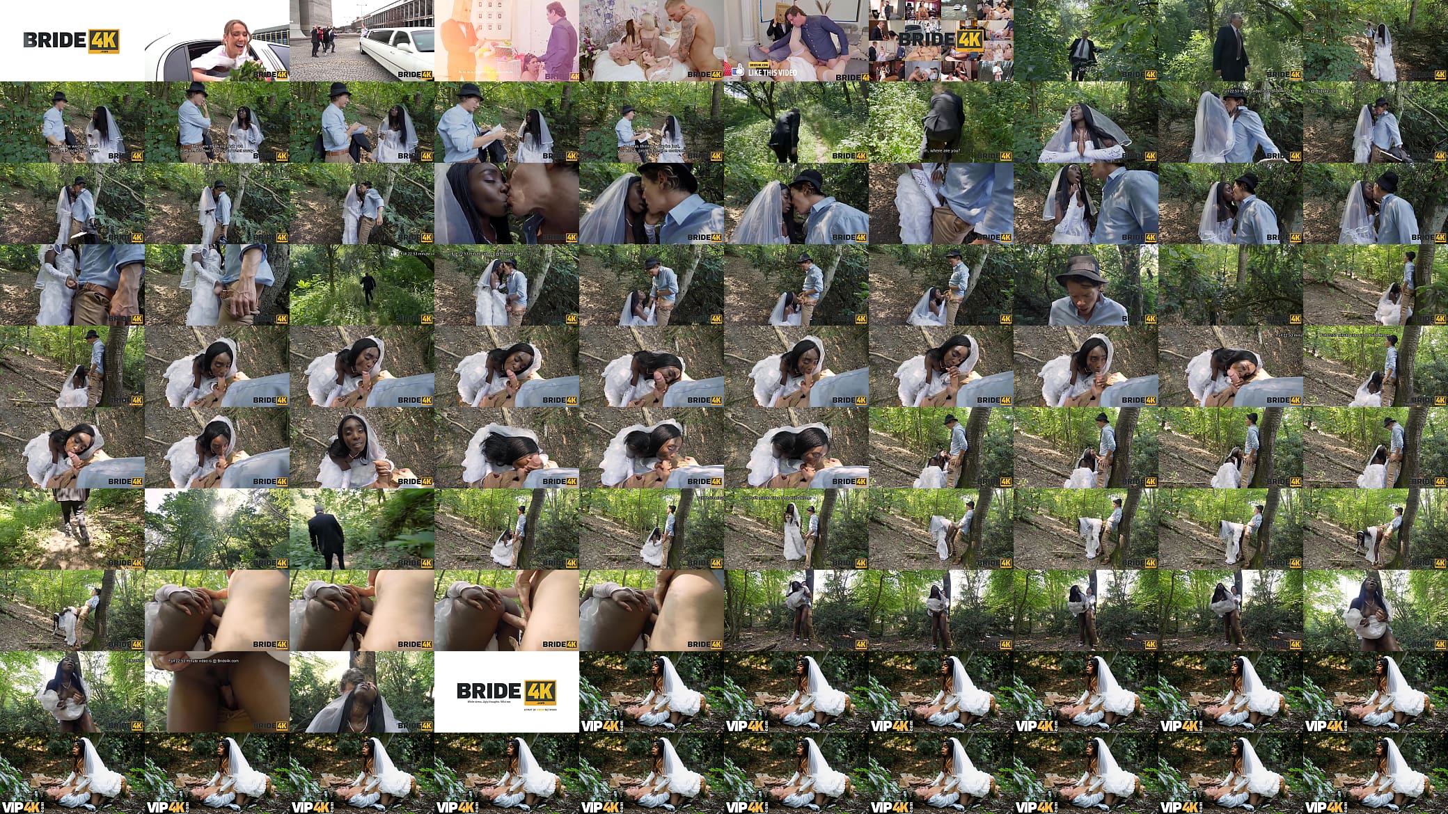 BRIDE4K. Just Like That 预览图