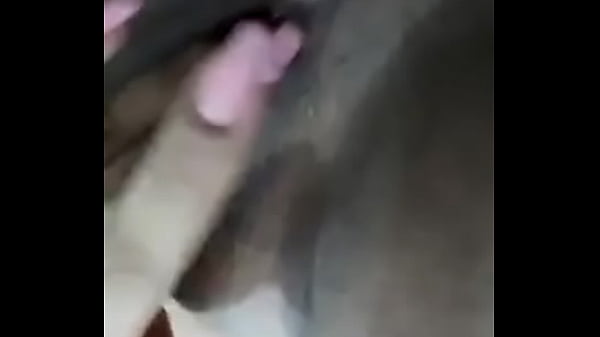 Bonjour