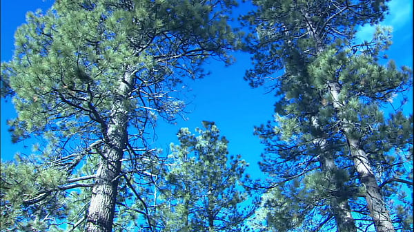 He said he just wanted to enjoy the fresh air and nature, but she knows he's just out to...