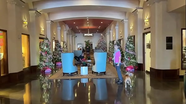 With few gentlemen callers, KaLā and I went for a stroll in Waikiki to see the Christmas decorations.