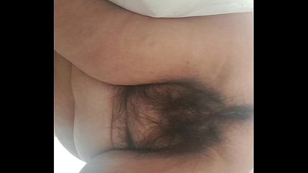 my wife's hairy pussy