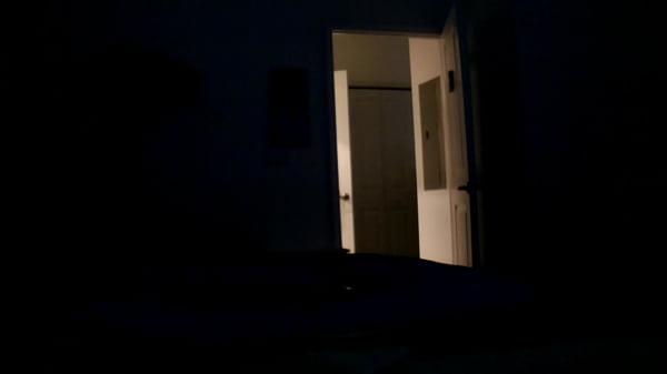Download Video - SUNP0001&period;MOV