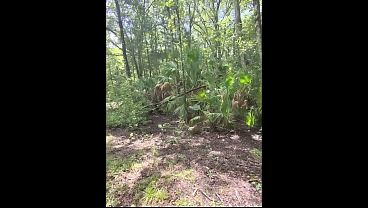 公園で野外遊び