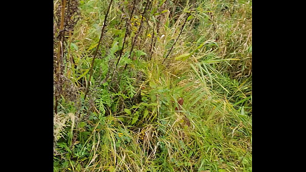 Andrei se caca la pescuit