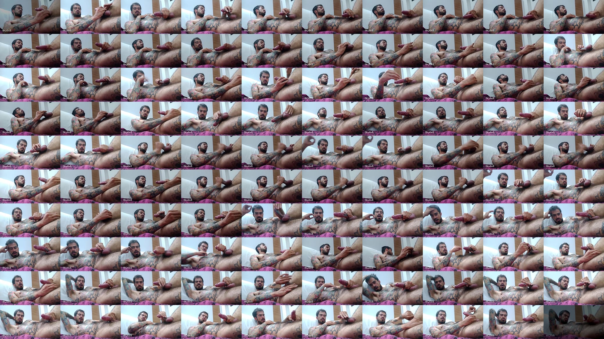 Polla rica 预览图