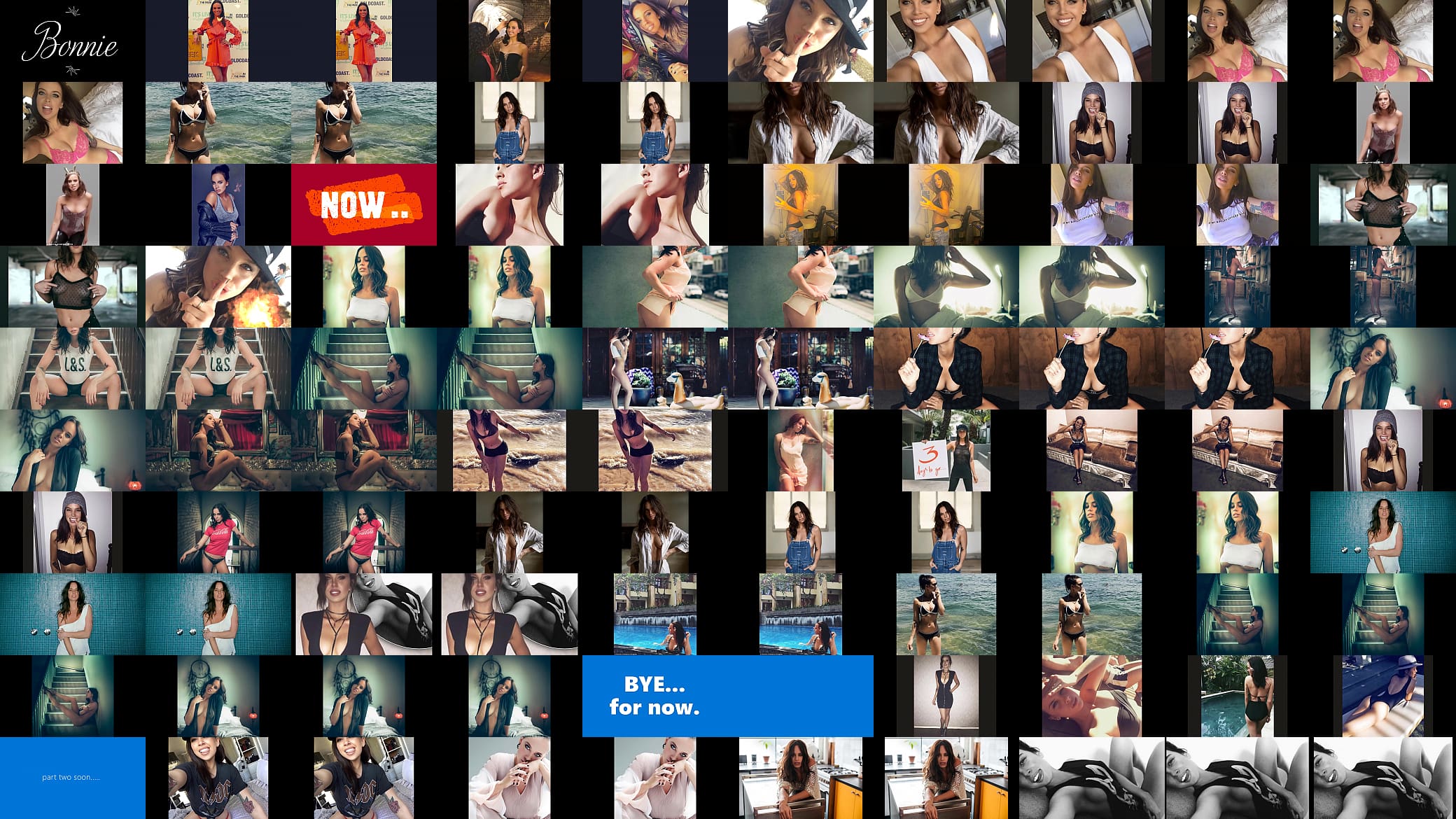 My Video-Bonnie Anderson 2019 预览图