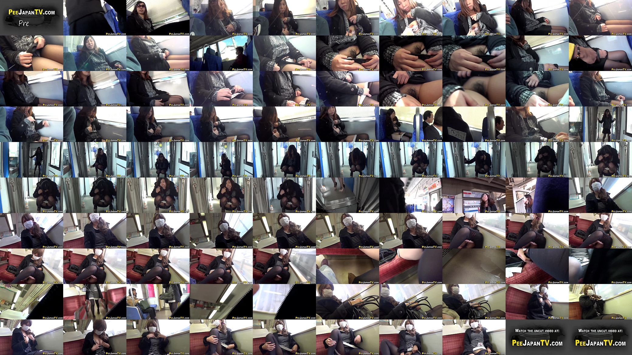 Asian pisses on train 预览图