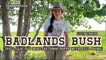 “Badlands Bush”