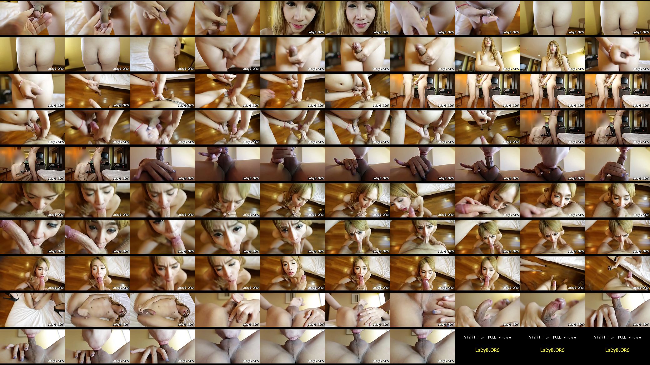 Bawdy sex games with a tranny 预览图