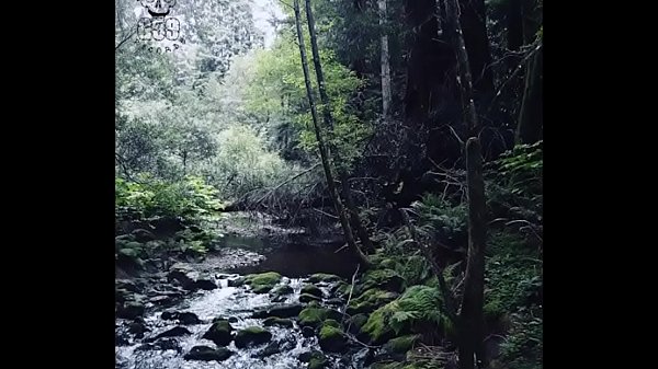 Ramirez feat $$ - Sarcophagus II