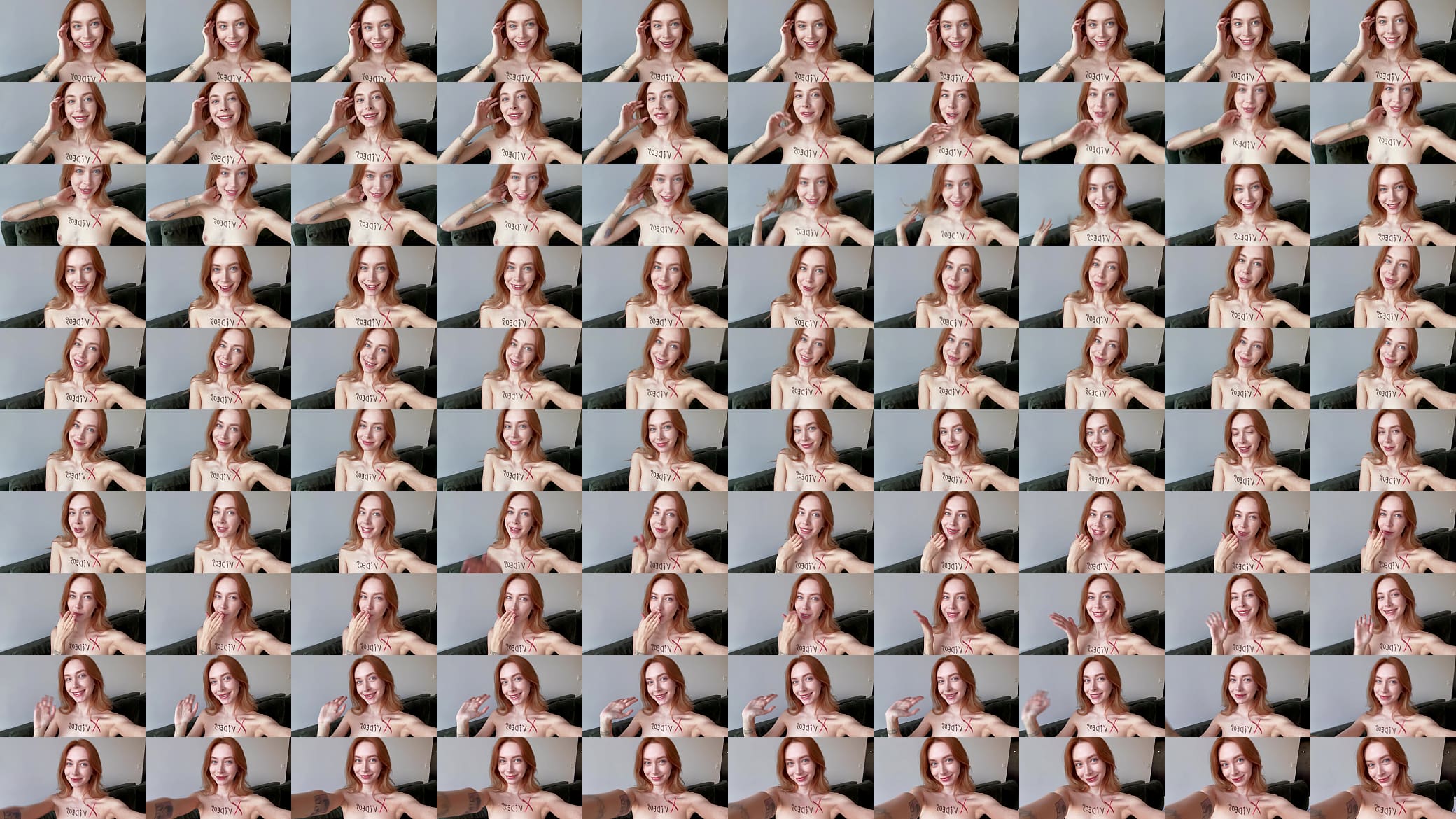 Verification video 预览图