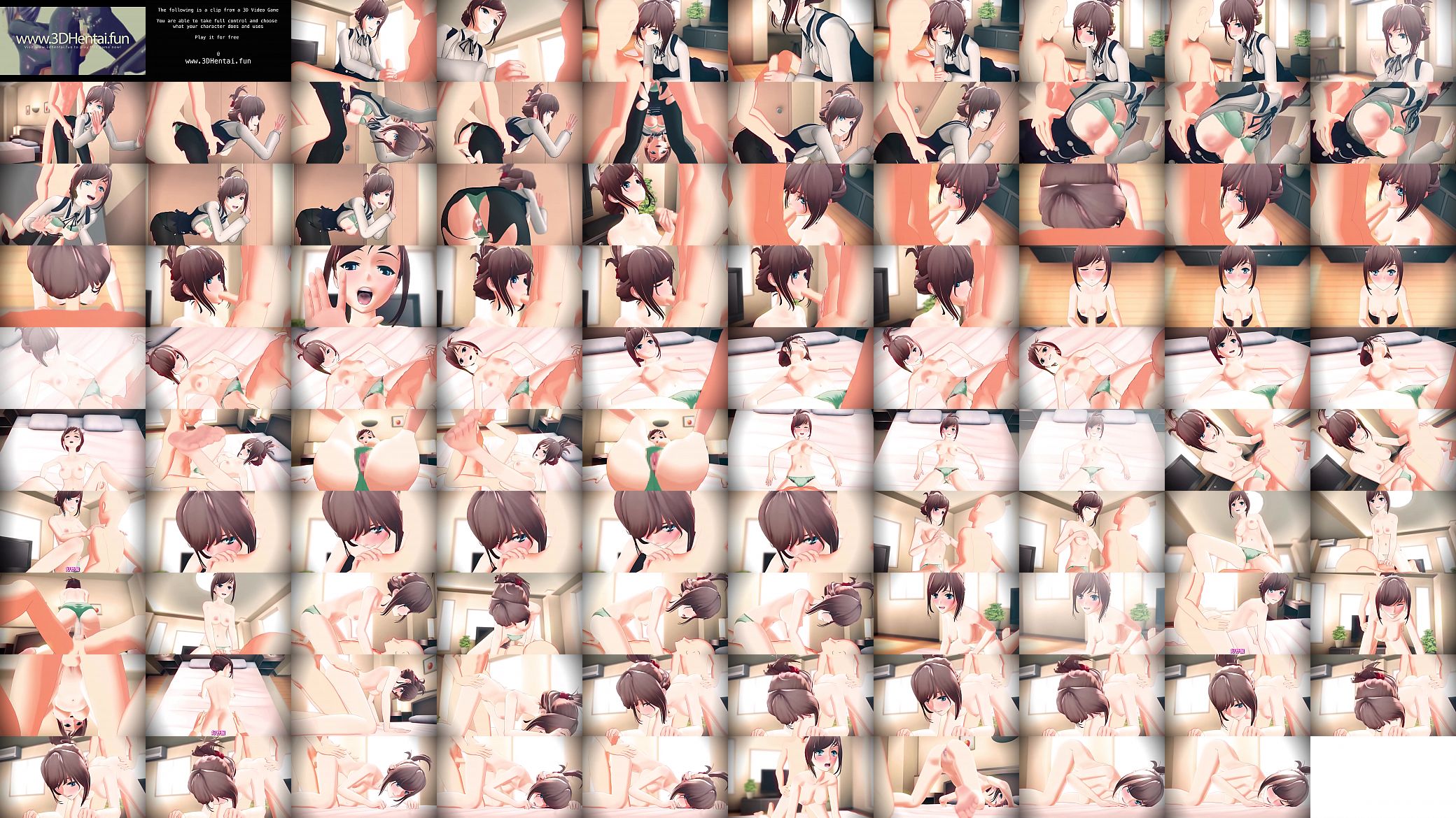 Perfect Anime Housewife 预览图