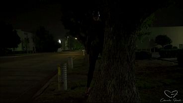 Stalk featuring Charlie Forde, Millie Morgan