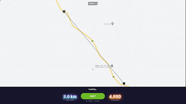 A Community World 24950 10s NMPZ World Record (GeoGuessr)