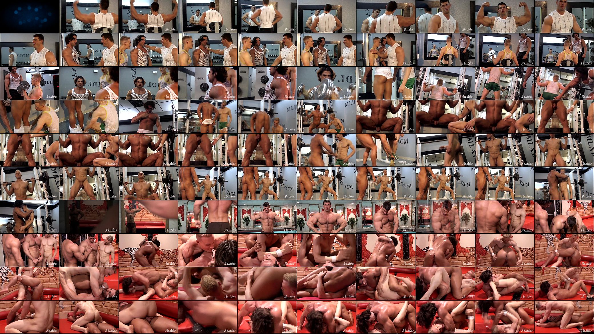 Gym Partners 预览图