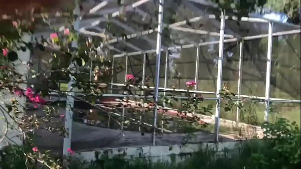 House under Brian’s POA