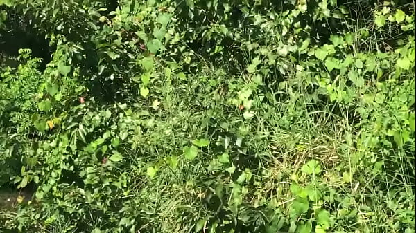 House under Brian’s POA