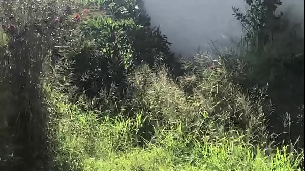  House Under Brian’s POA