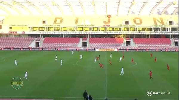 mijei na casa do cachorro