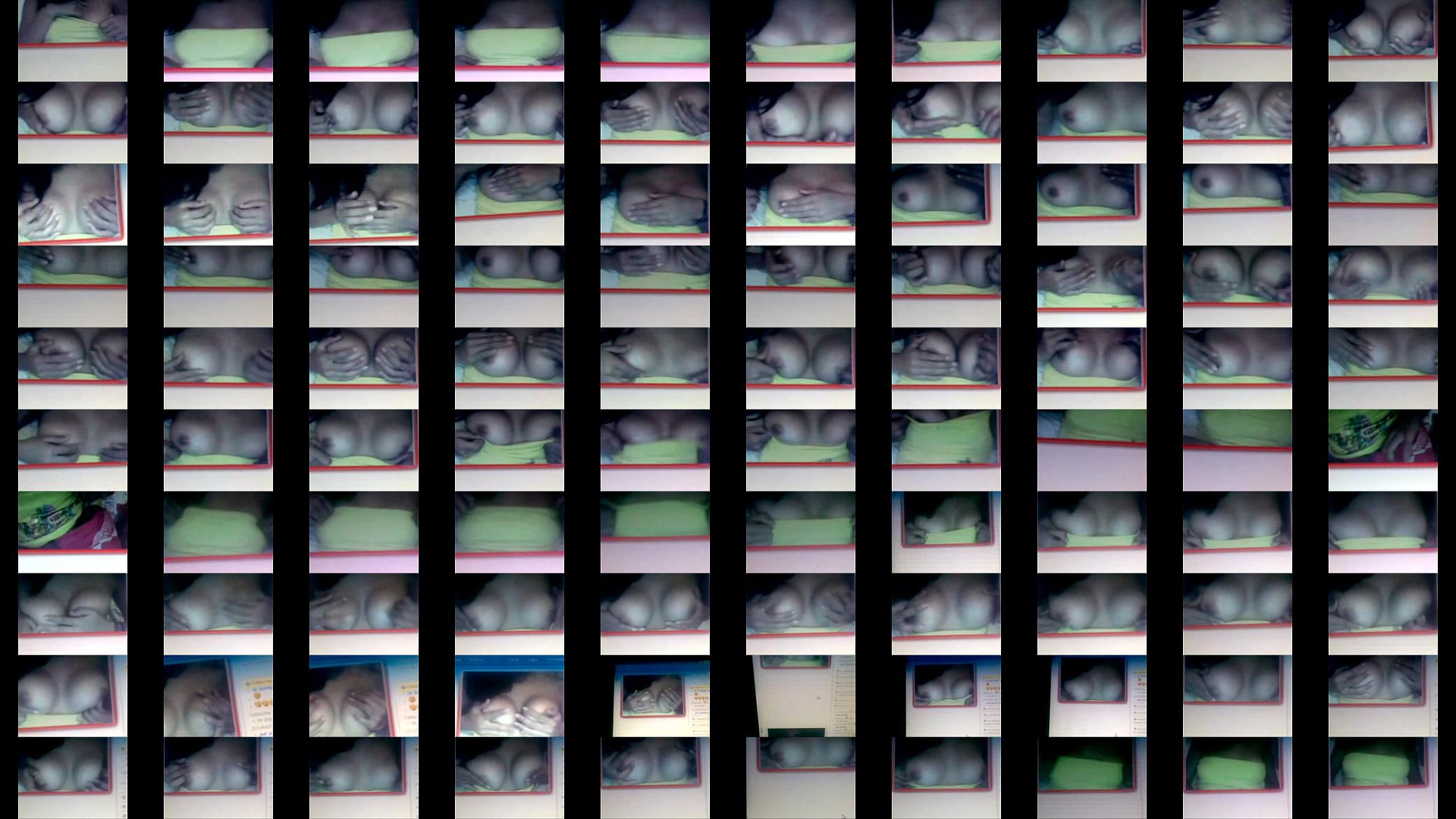 webcam 预览图