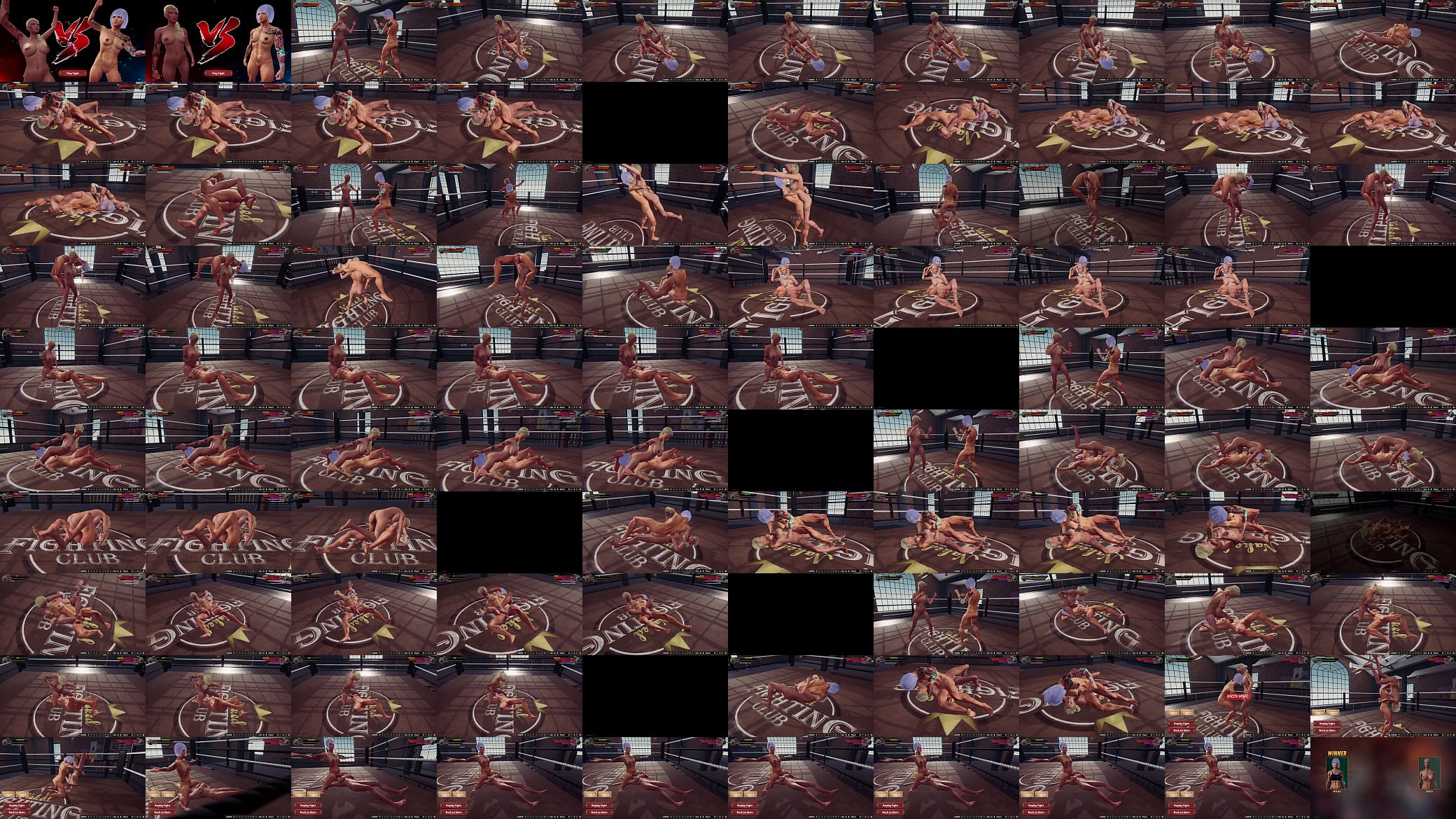 Est vs. Nikita (Naked Fighter 3D) 预览图