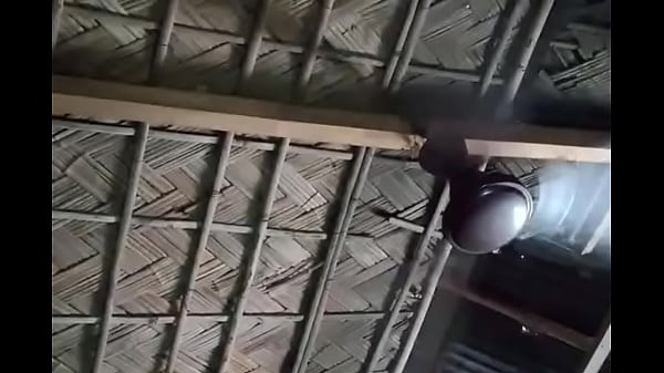 Fan sex