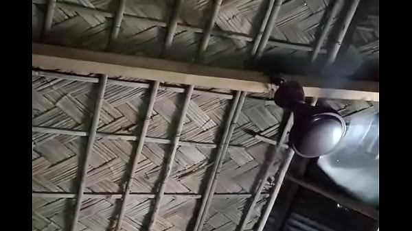 Fan sex