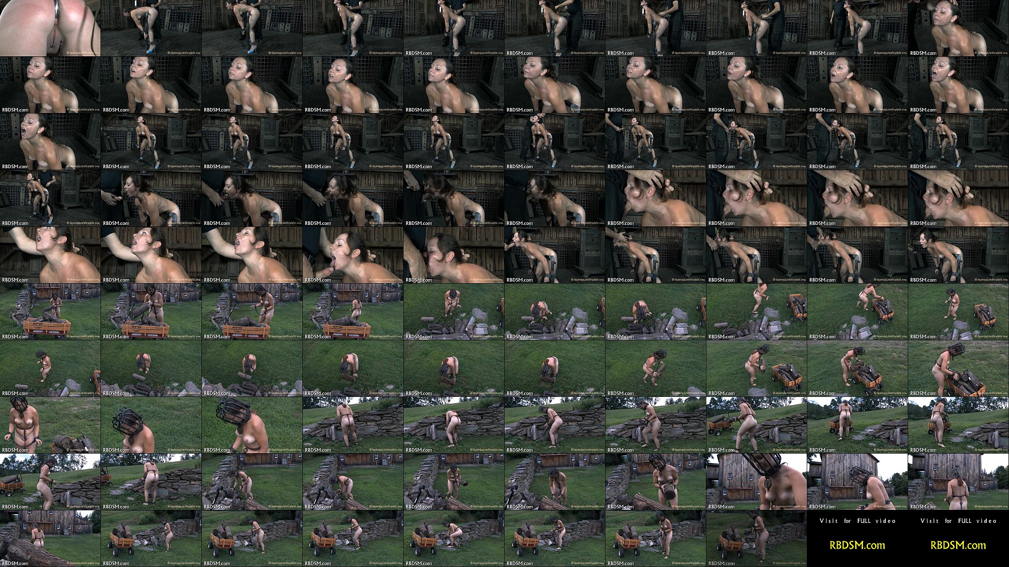 t. beauty&#039;s fuck holes 预览图