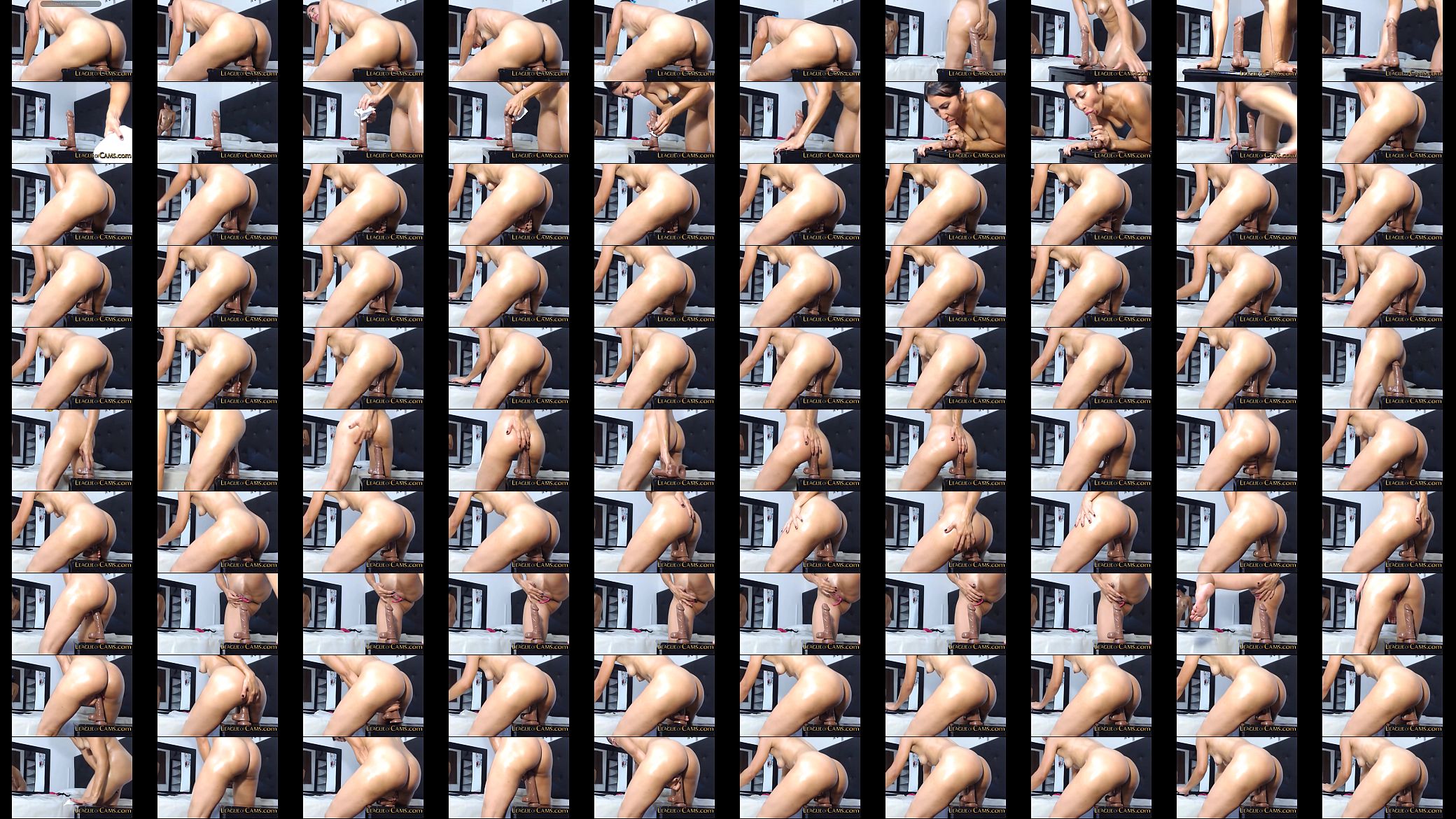 Camgirl Rides SexMachine 预览图