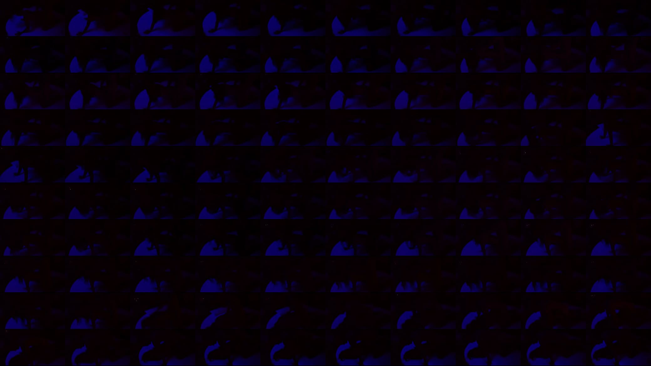 trim.8F341E5E-93D4-40AD-8B50-7637F7DD8B68.MOV 预览图