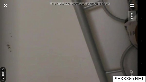 Wild Pussy Adventures Goes Crazy