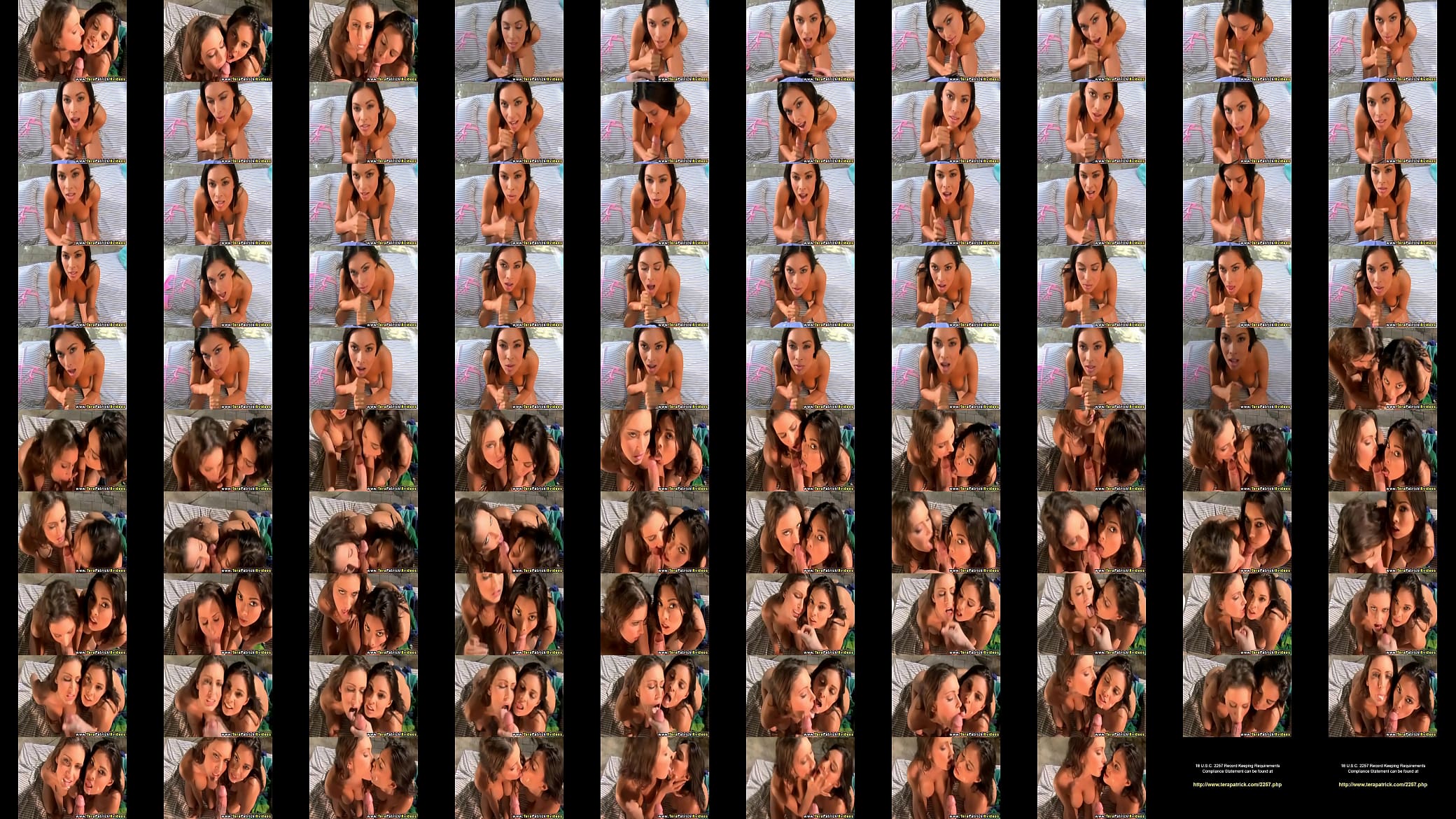 Pussy and Cock - Tera Patrick 预览图