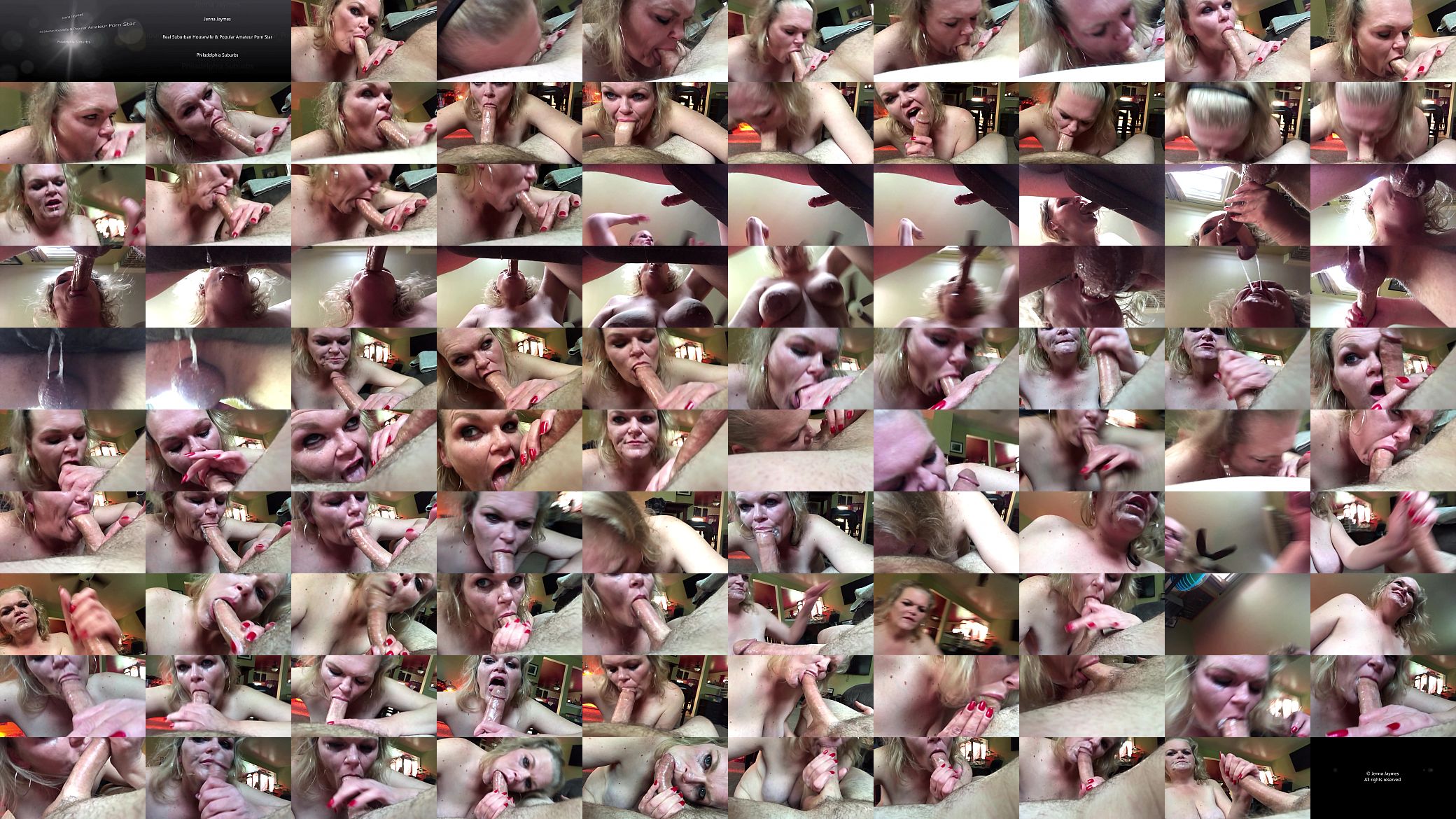 Jenna Jaymes Deepthroats Big Cock 1080p 预览图