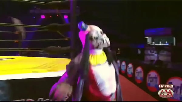 Regreso de los Psycho Circus