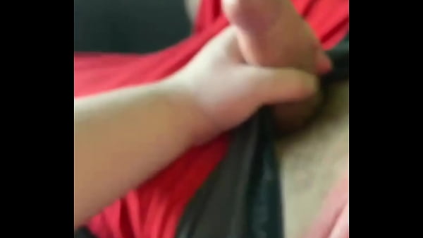 Dotado Me Colocou Pra Mamar no &Ocirc;nibus e Deu Lei...