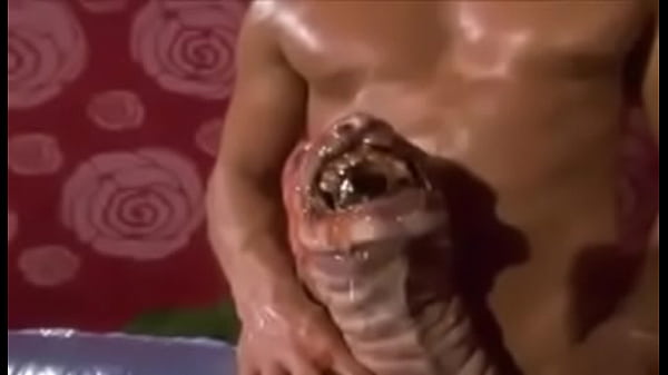 Download Video - Monster Penis WTF