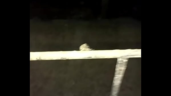 Foda de Besouro bem dada