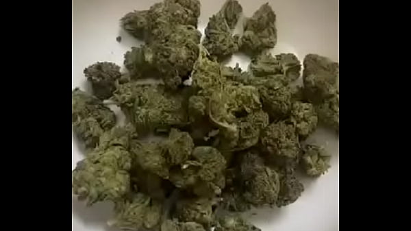 Make I call my dealer make him waybill Exotic Naijabangking00 uglygalz1