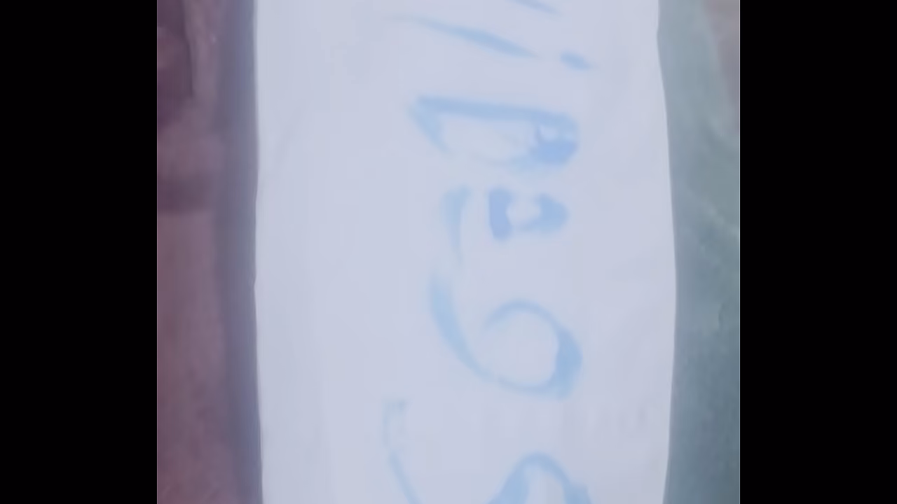 فيديو التحقق