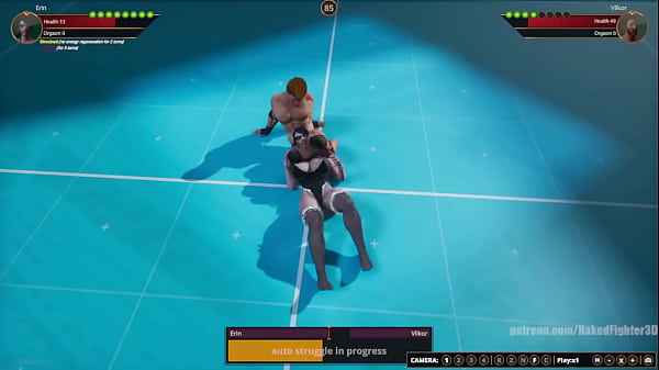 Erin VS Terms (Naked Fighter 3D)